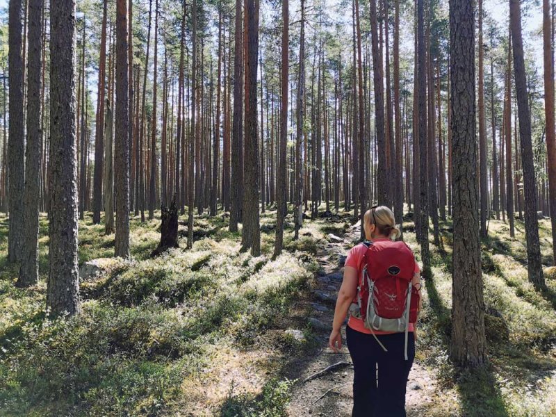 Polku pois arjen kiireistä