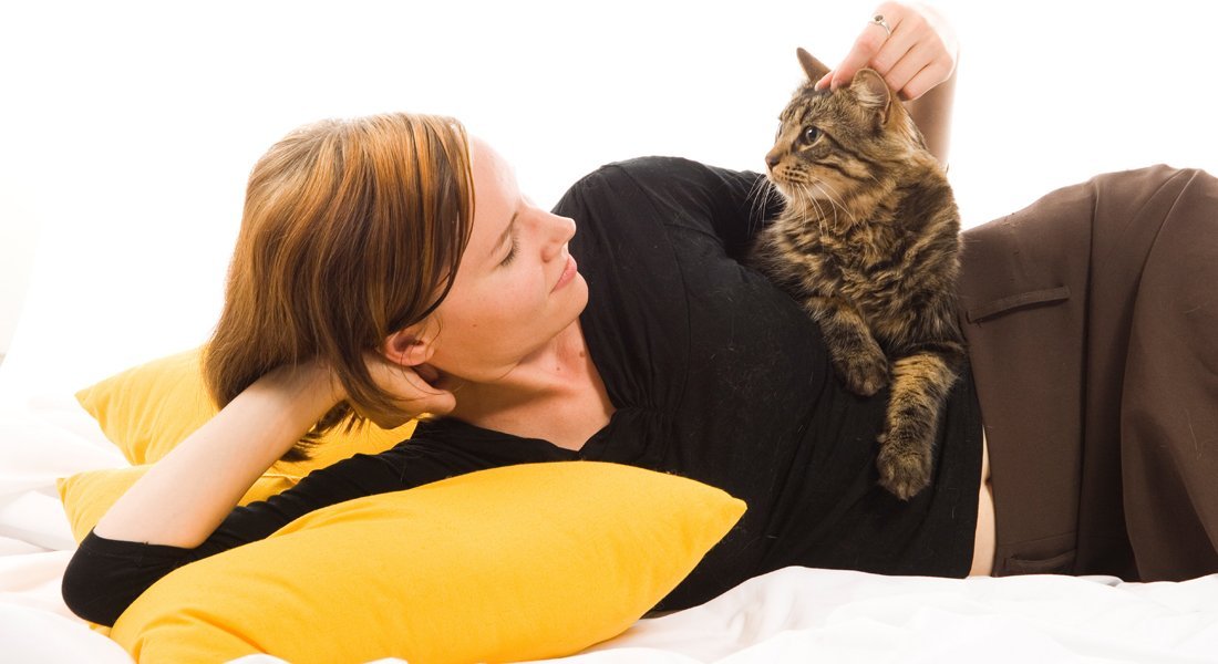 Lemmikkien nimipäiväkalenteri uudistui – nyt myös Nana ja Rölli saivat oman päivänsä