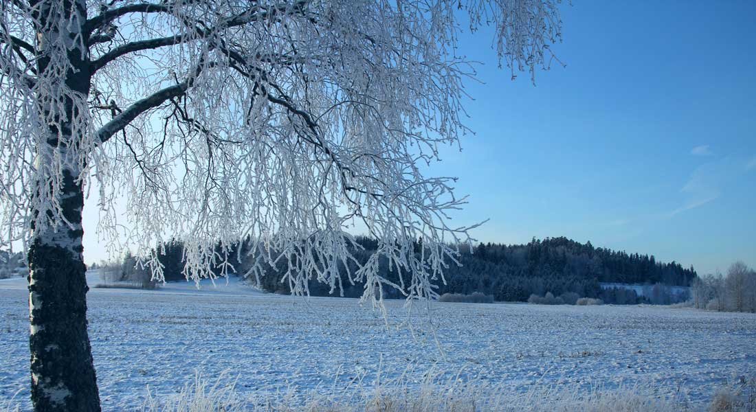 Jokainen voi tehdä arjen ilmastotekoja